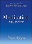 Meditation Now or Never - sebo online