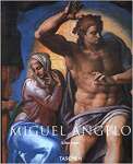 Miguel Angelo - sebo online