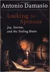 Looking for Spinoza: Joy, Sorrow, and the Feeling Brain - sebo online