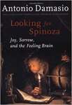 Looking for Spinoza: Joy, Sorrow, and the Feeling Brain