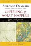The Feeling of What Happens: Body and Emotion in the Making of Consciousness - sebo online