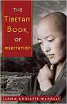 The Tibetan Book of Meditation - sebo online