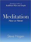 Meditation Now or Never