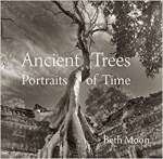 Ancient Trees: Portraits of Time - sebo online