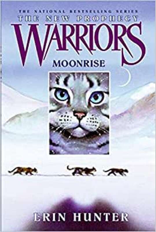 Livro: A Dangerous Path (Warrior Cats, Book 5) - Erin Hunter - Sebo Online  Container Cultura