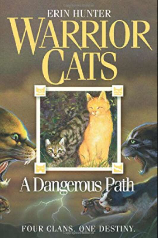 Livro: A Dangerous Path (Warrior Cats, Book 5) - Erin Hunter - Sebo Online  Container Cultura