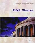 Public Finance - sebo online