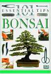 Bonsai - sebo online