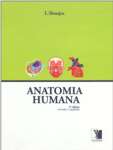 Anatomia Humana - Capa Dura - sebo online