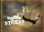 Se Eu Realmente Quisesse Vencer o Stress Eu ... - sebo online