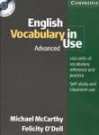 English Vocabulary in Use  - sebo online