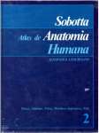 Atlas de Anatomia Humana 2 - Trax, Abdome, Pelve, Membros Inferiores, Pele - sebo online