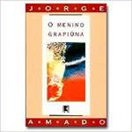 O Menino Grapina - sebo online