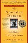 The Noonday Demon: An Atlas of Depression - sebo online